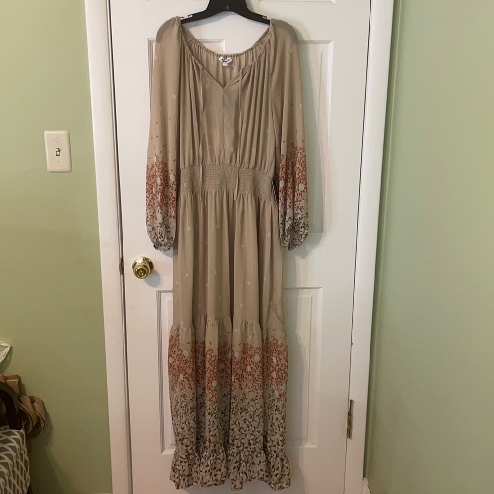 Express maxi dress
